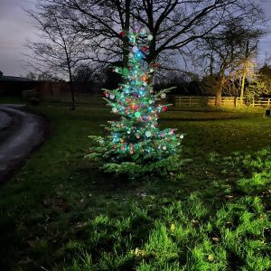 Burston Christmas Tree – night – 10.12.2024