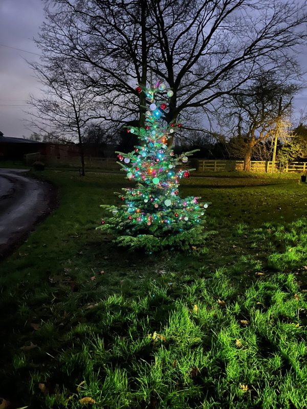 Burston Christmas Tree – night – 10.12.2024