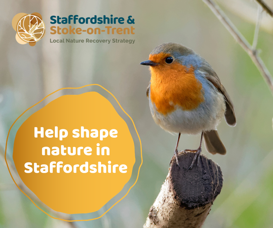 Local Nature Recovery Stategy logo 18.06.2026 Local Nature Recovery Stategy logo 18.06.2026